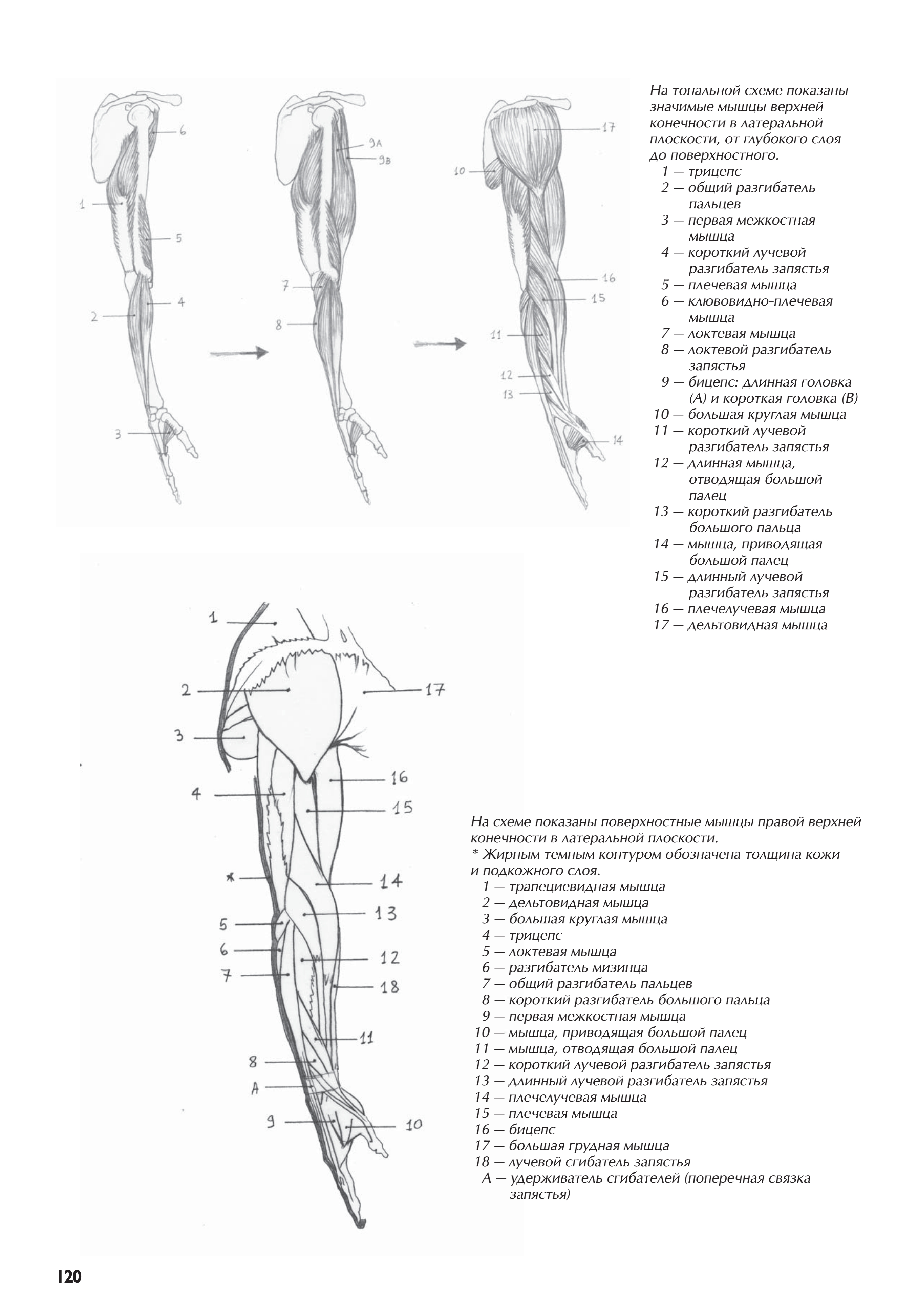 آموزش نقاشی طراحی سیاه قلم شهرری